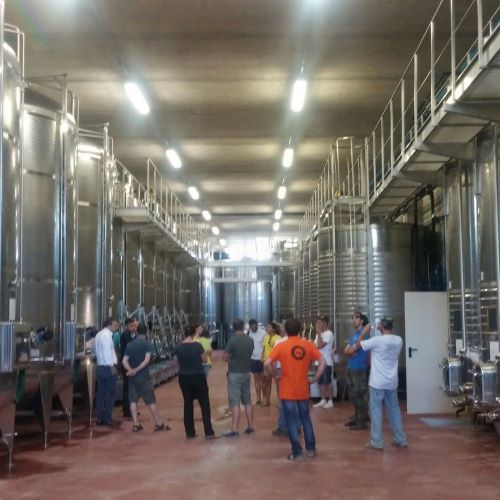Partecipanti PandaLang durante visita in cantina nelle Langhe